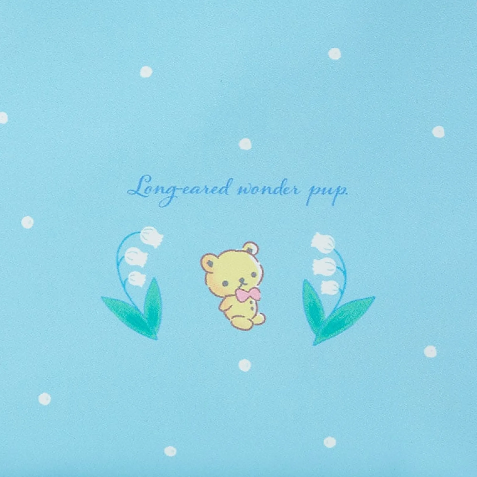 Japan Original Cinnamoroll Crescent Zipper Pouch