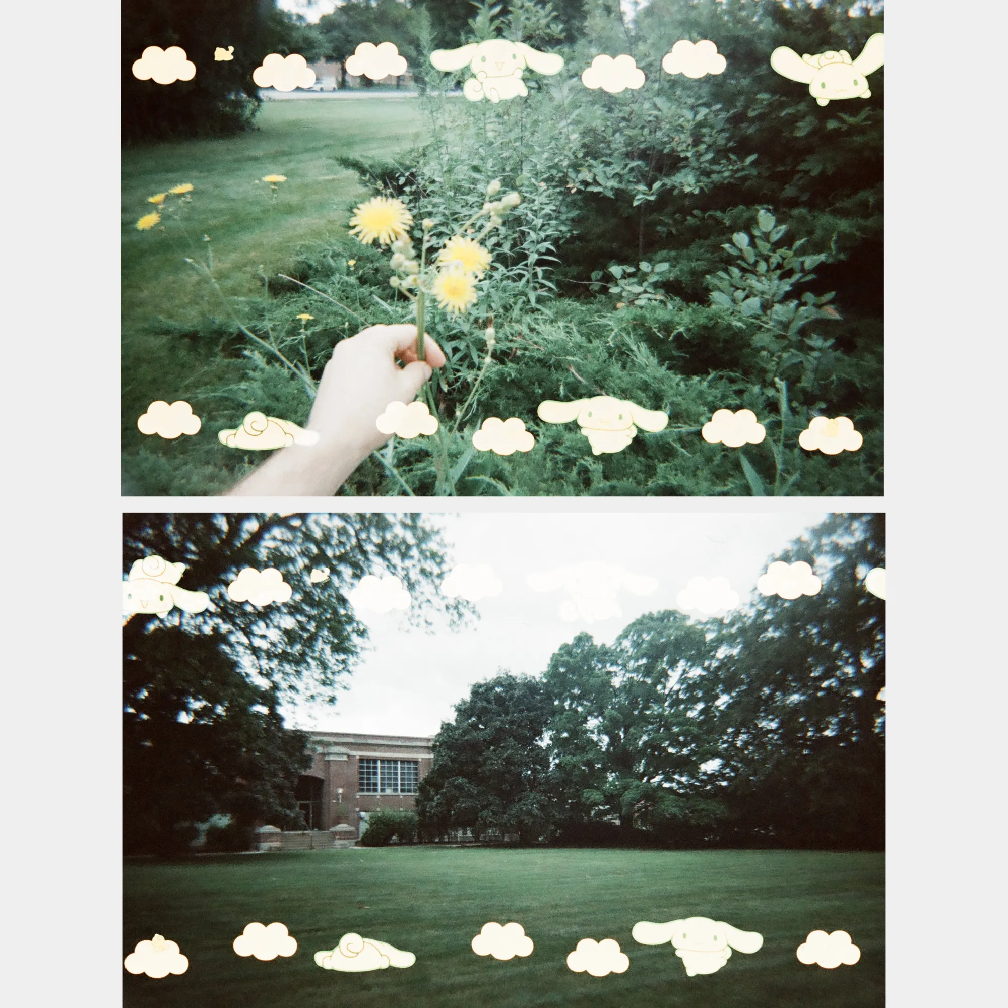 RETROSPEKT Cinnamoroll 35mm Special Border Film