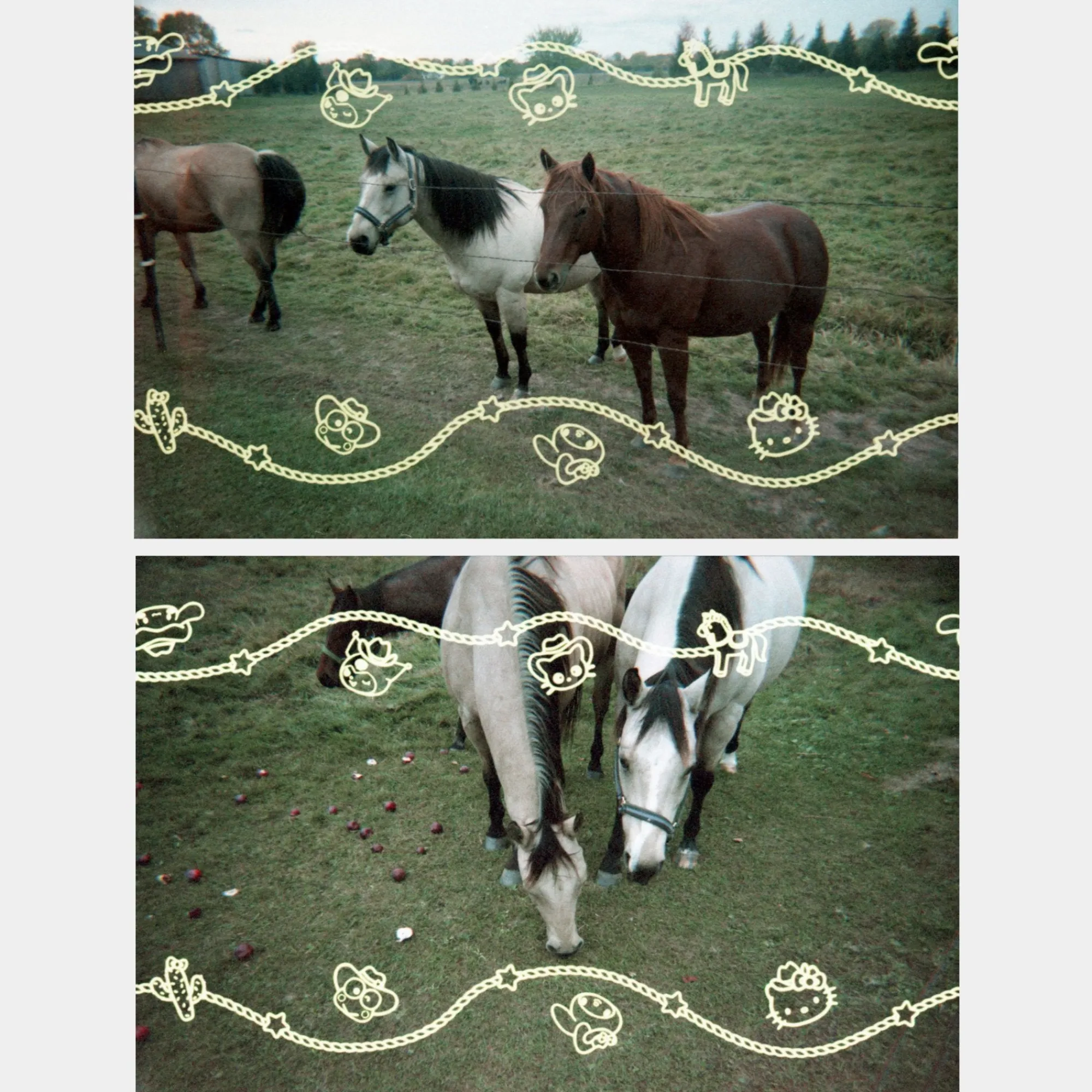 RETROSPEKT Hello Kitty and Friends Howdy Partner 35mm Special Border Film