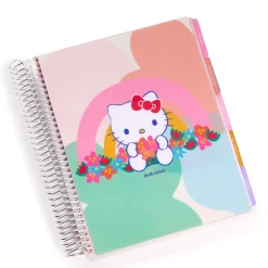 ERIN CONDREN Hello Kitty and Friends x Rainbow Relaxation 2025 LifePlanner