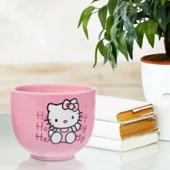 Silver Buffalo Hello Kitty Ceramic Ramen Bowl and Chopstick Set (Pink Wave)