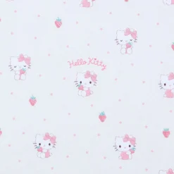 Japan Original Hello Kitty Everyday Eyewear Case