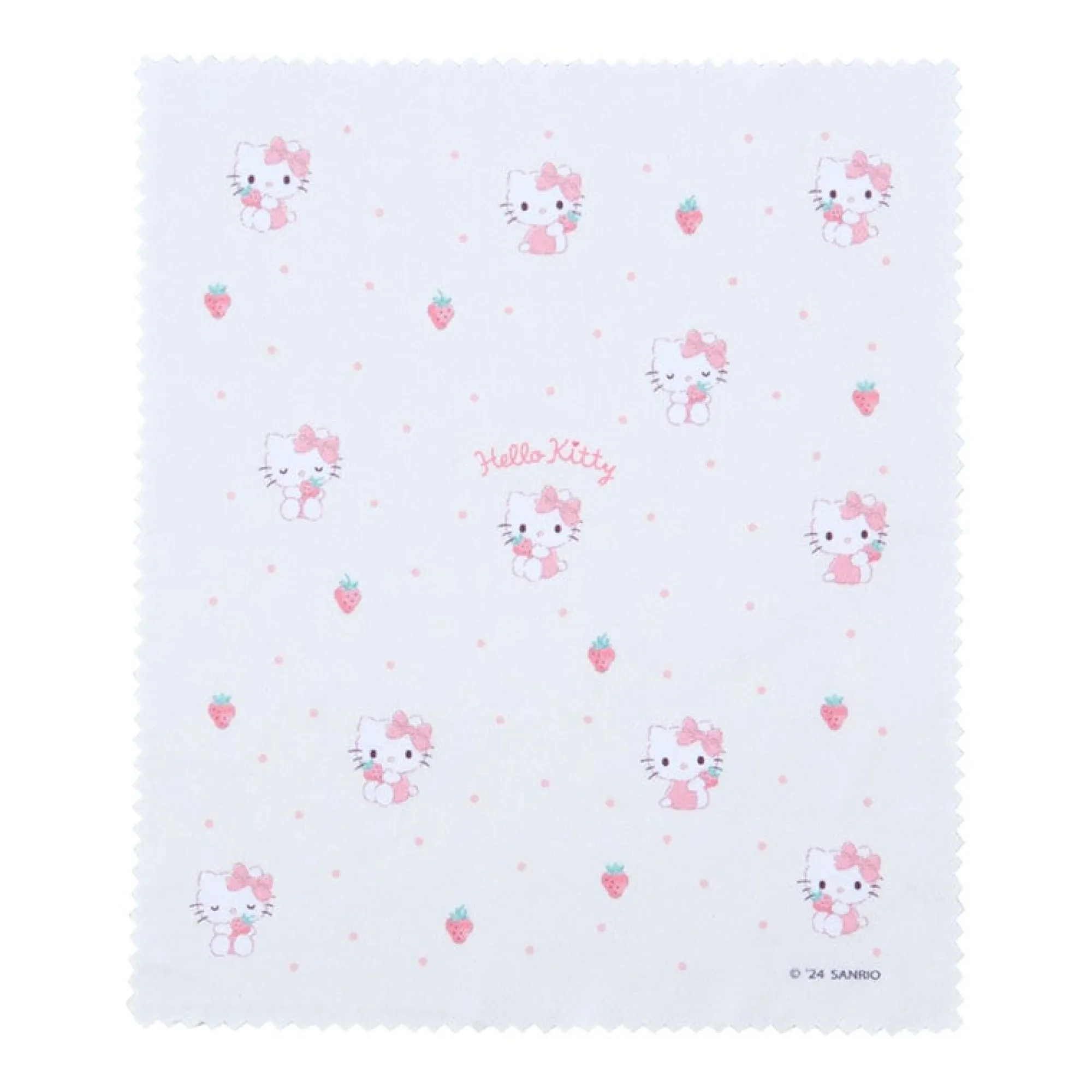 Japan Original Hello Kitty Everyday Eyewear Case
