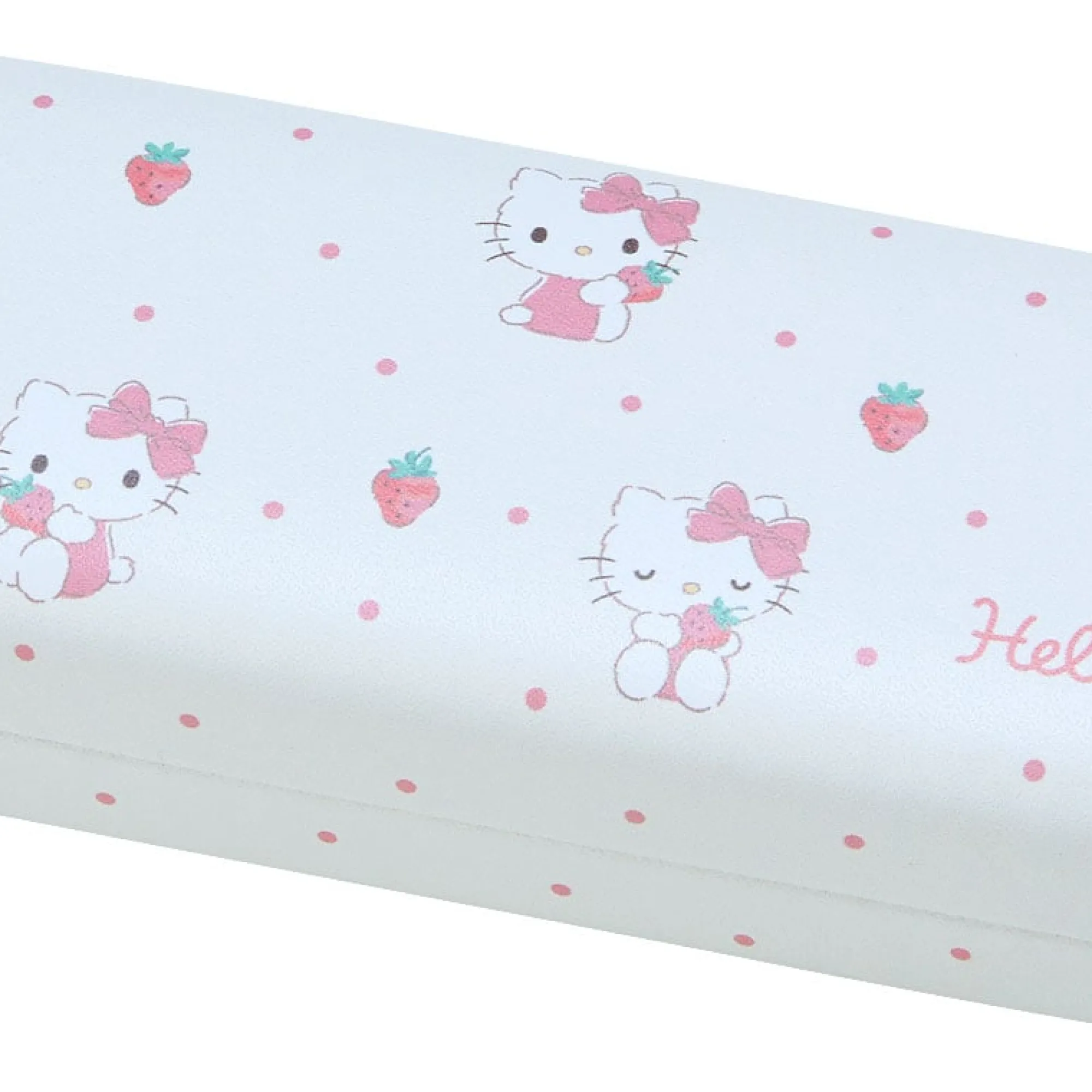 Japan Original Hello Kitty Everyday Eyewear Case