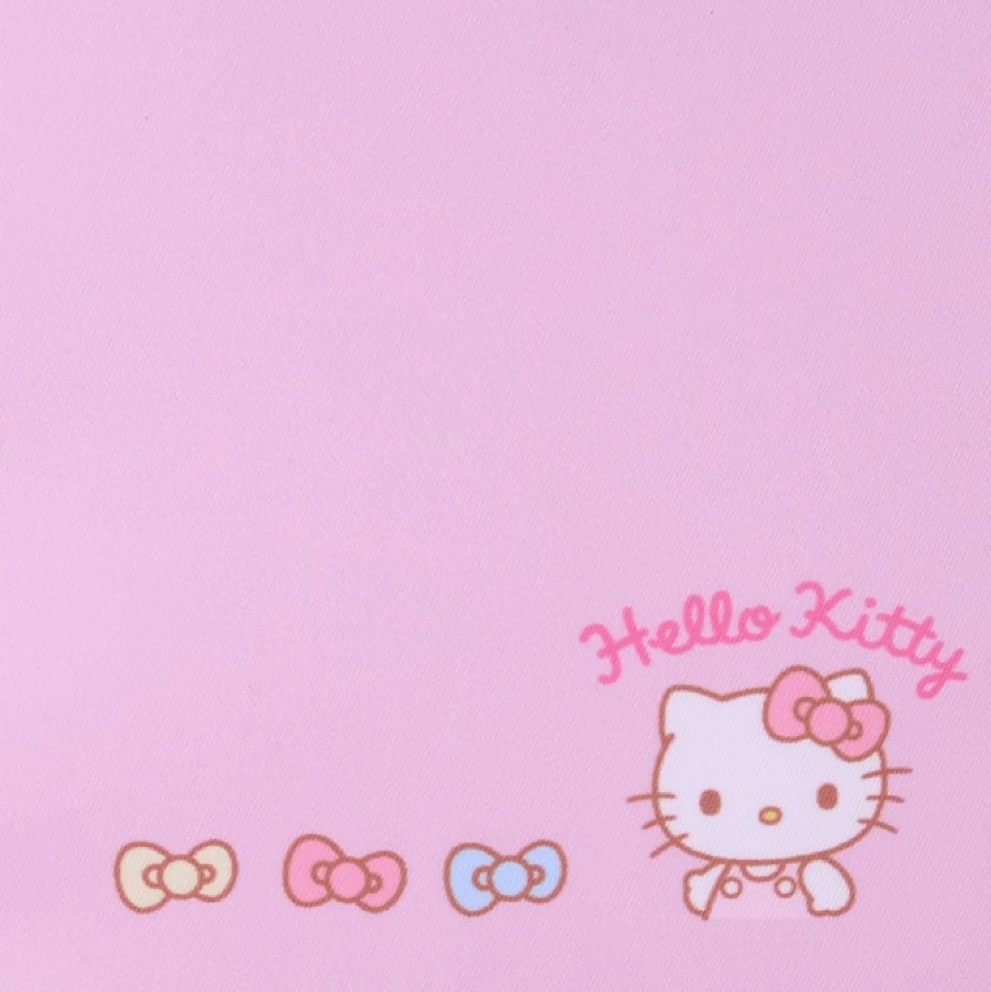 Japan Original Hello Kitty Everyday Standup Stationery Pouch