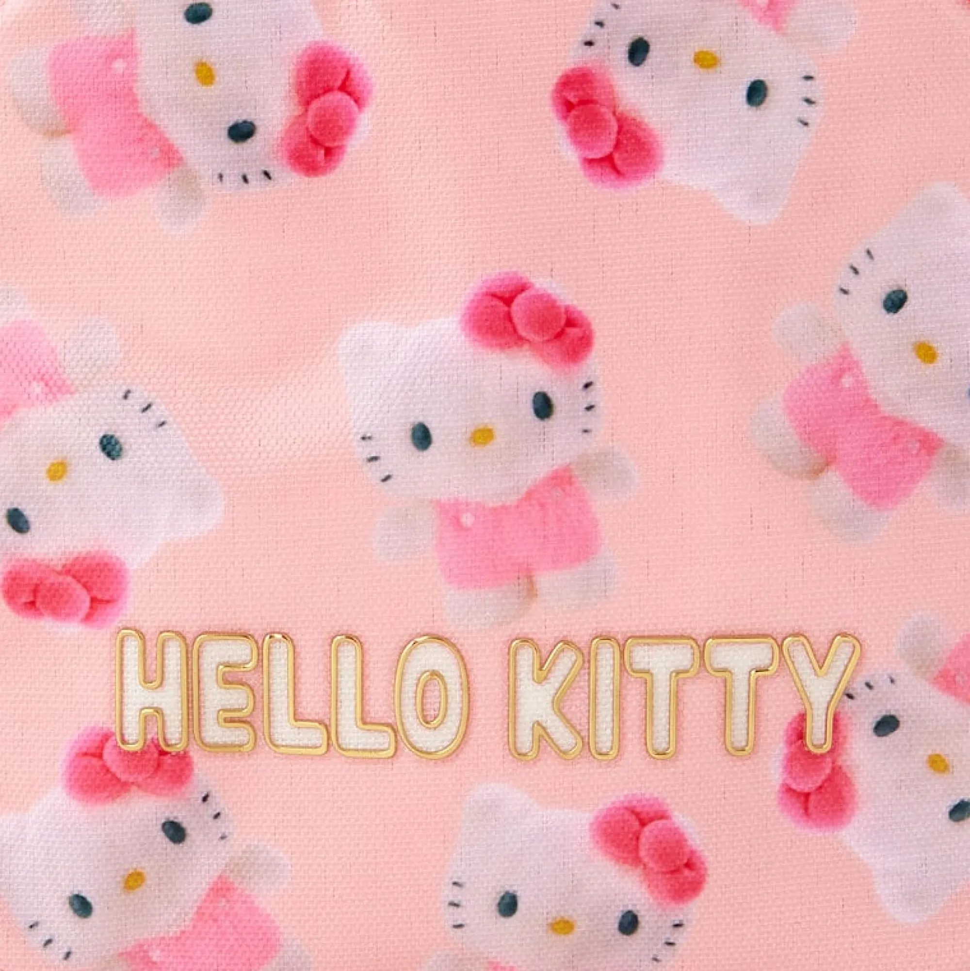 Japan Original Hello Kitty Mini Zipper Pouch (Pitatto Friends Series)