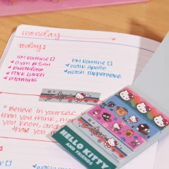 ERIN CONDREN Hello Kitty x Special Edition Gift Box