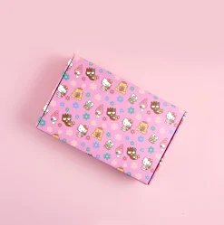 ERIN CONDREN Hello Kitty x Special Edition Gift Box
