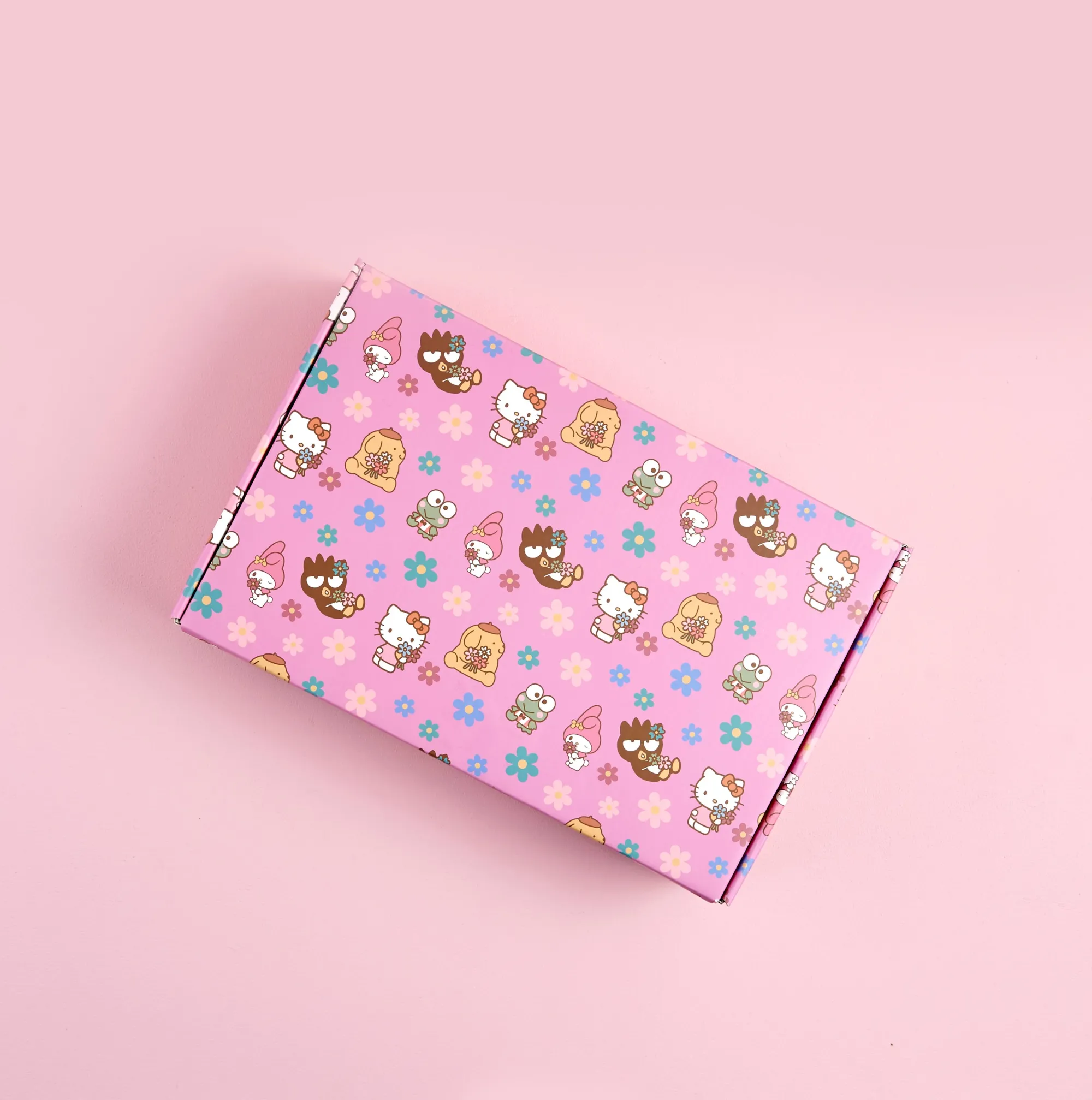 ERIN CONDREN Hello Kitty x Special Edition Gift Box
