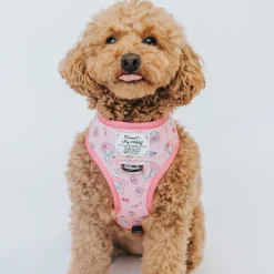 SASSY WOOF My Melody & Kuromi x Reversible Dog Harness
