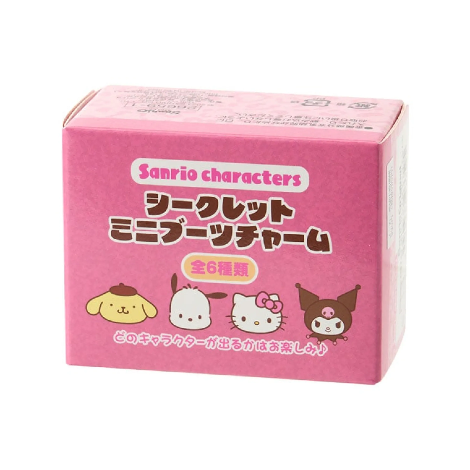 Japan Original Sanrio Characters Bag Charm Blind Box (Winter Boots Series 2)