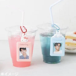 Japan Original Sanrio Characters Mini Photo Charm Blind Bag (Enjoy Idol Series 1)